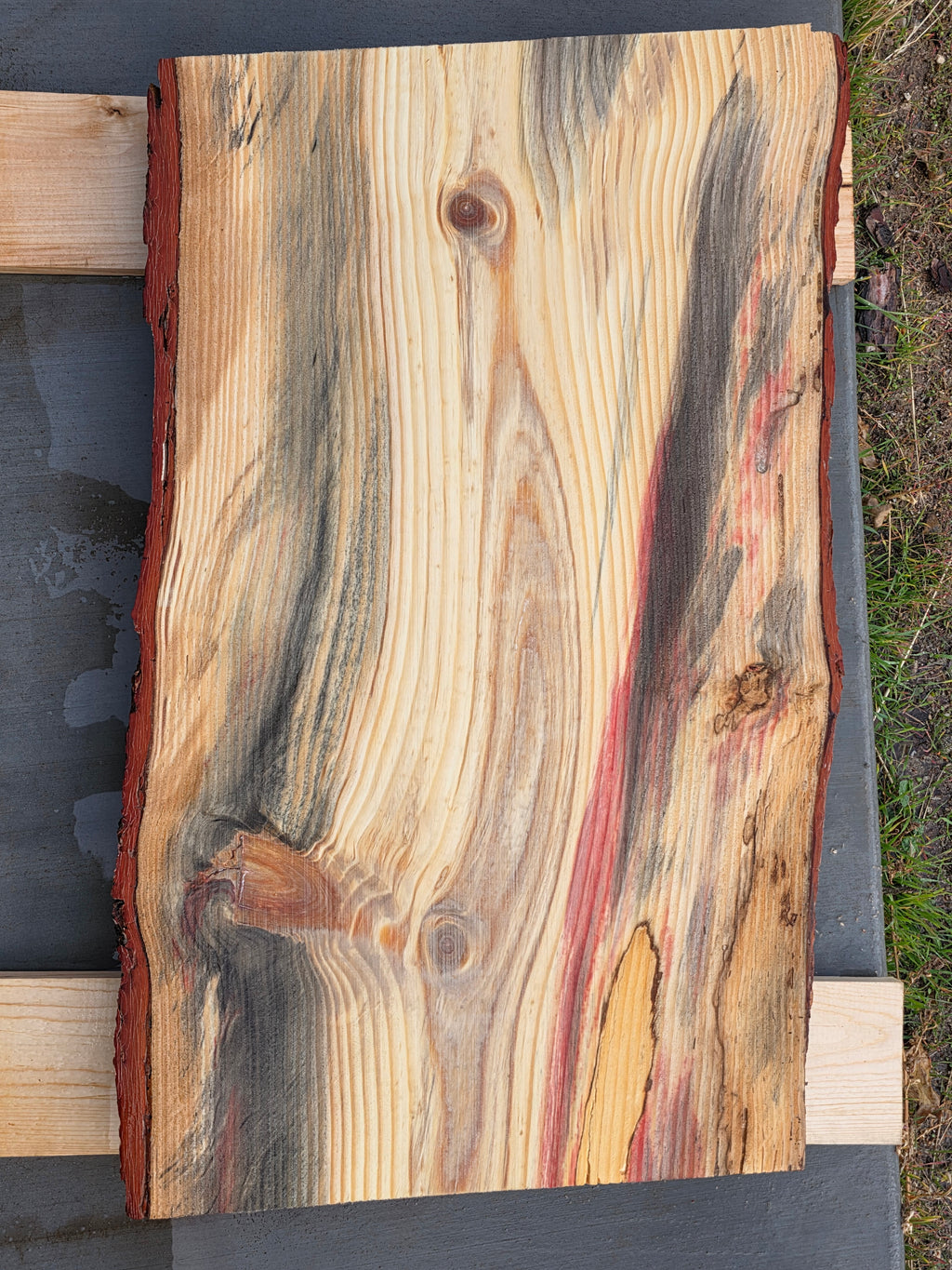 Pine with Red and Grey Hue 2"