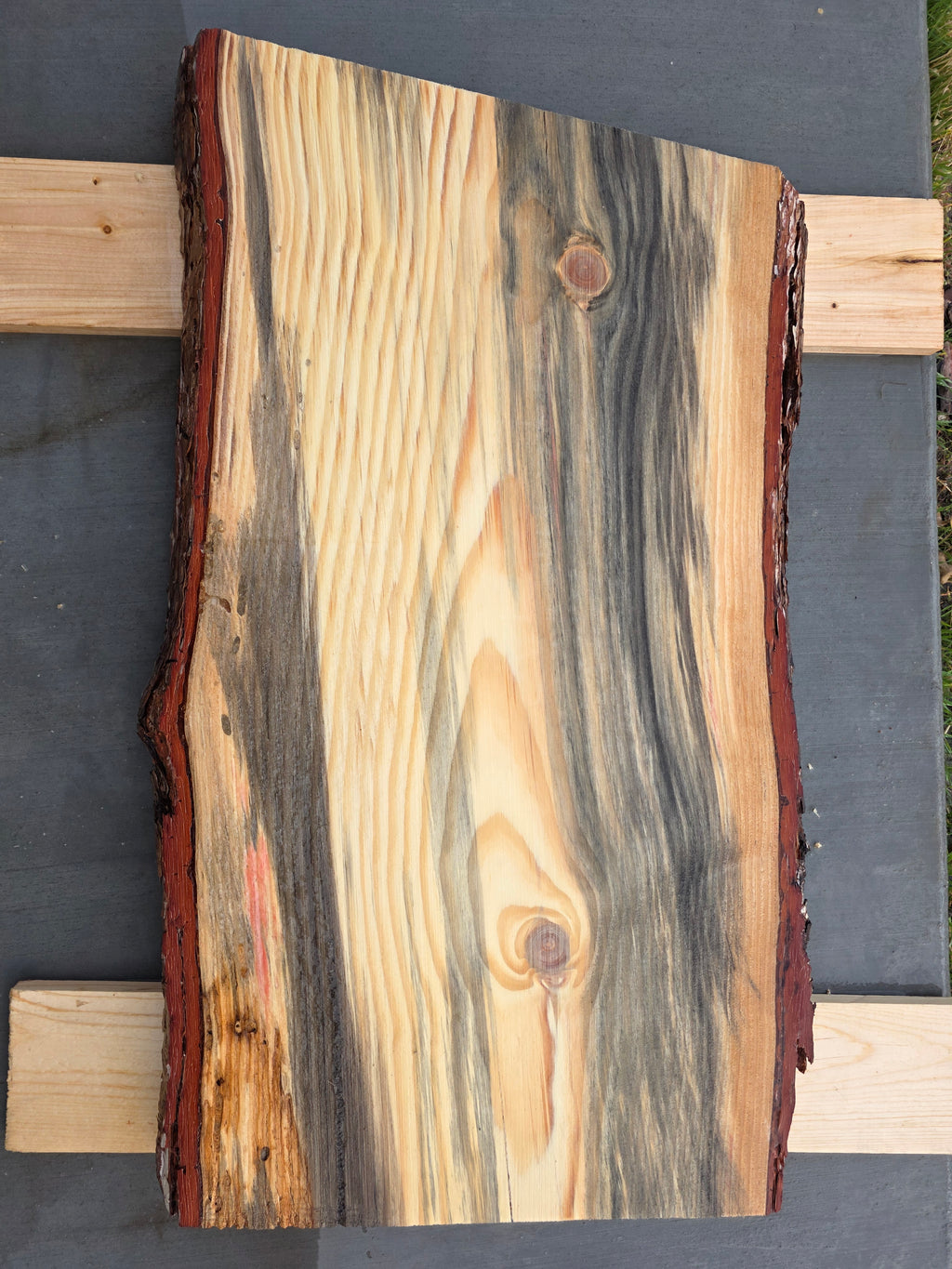 Pine with Red and Grey Hue 2"