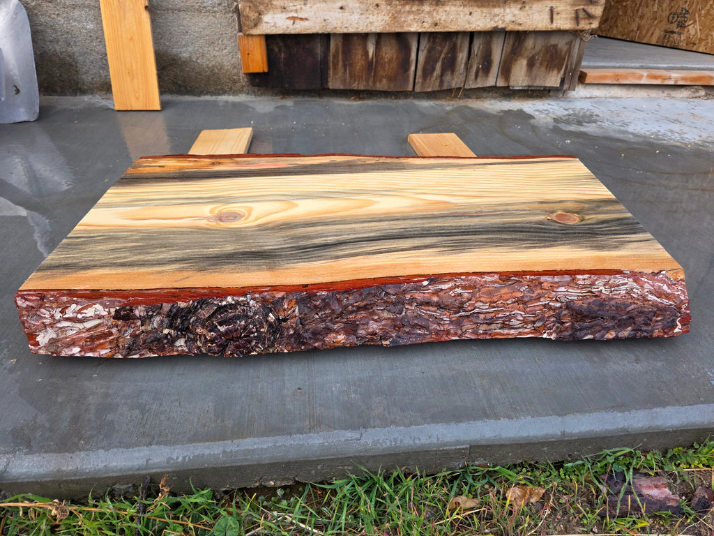 Pine with Red and Grey Hue 2"