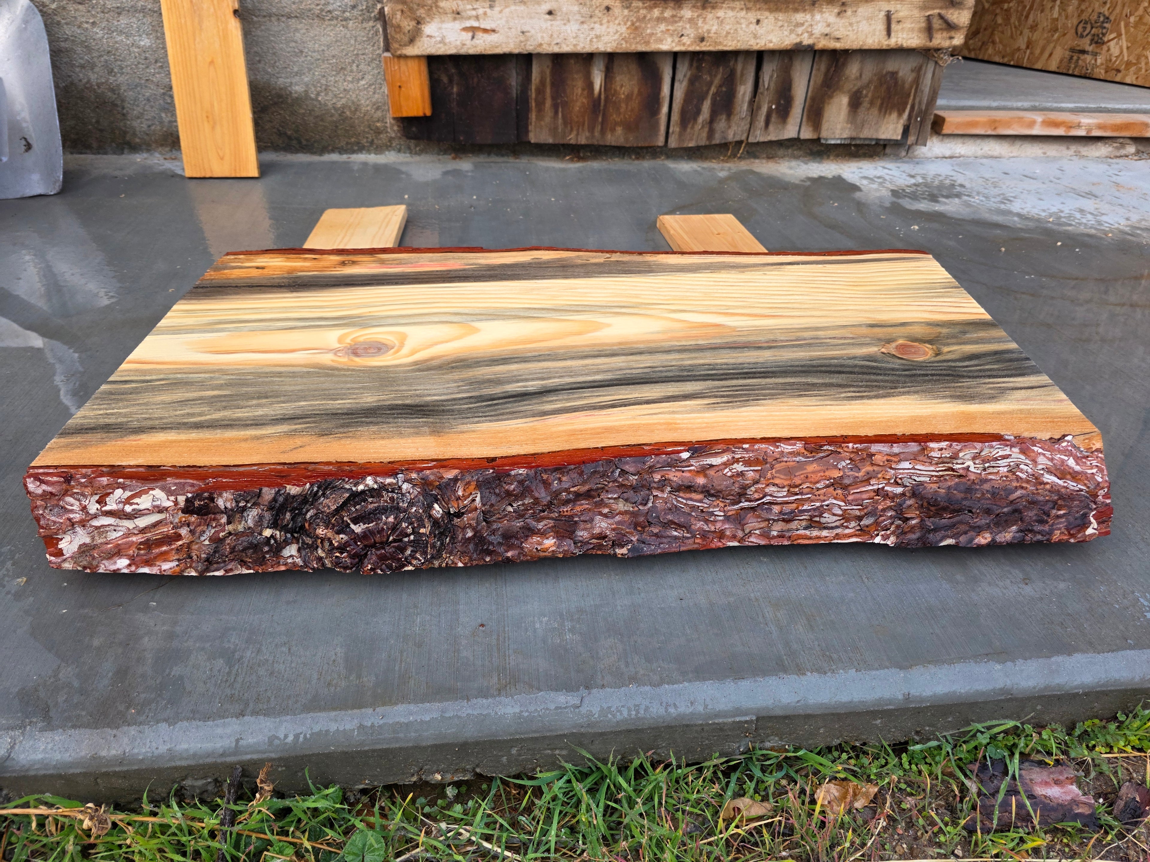 Pine with Red and Grey Hue 2"