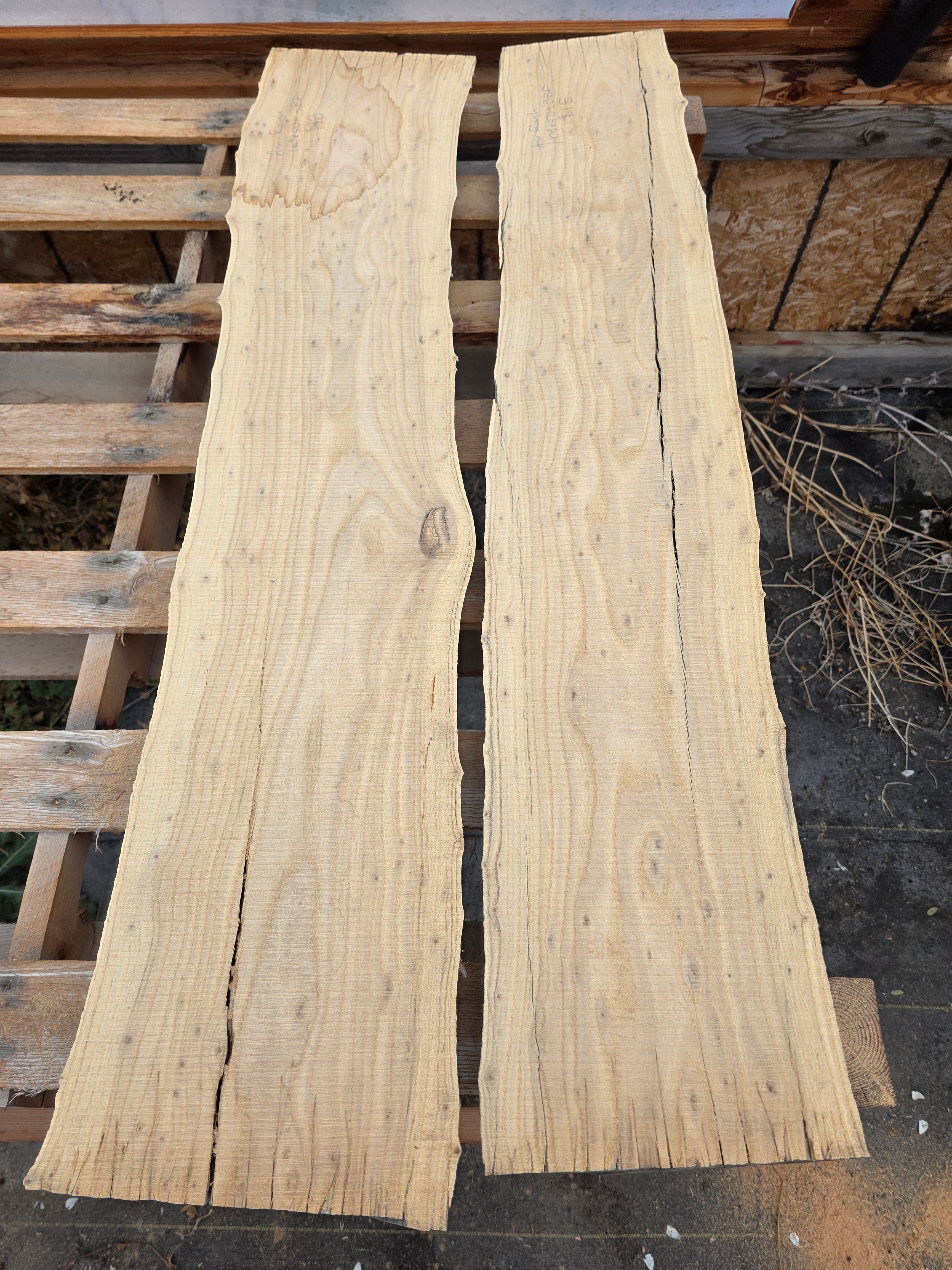 Ash Rough Milled Skins