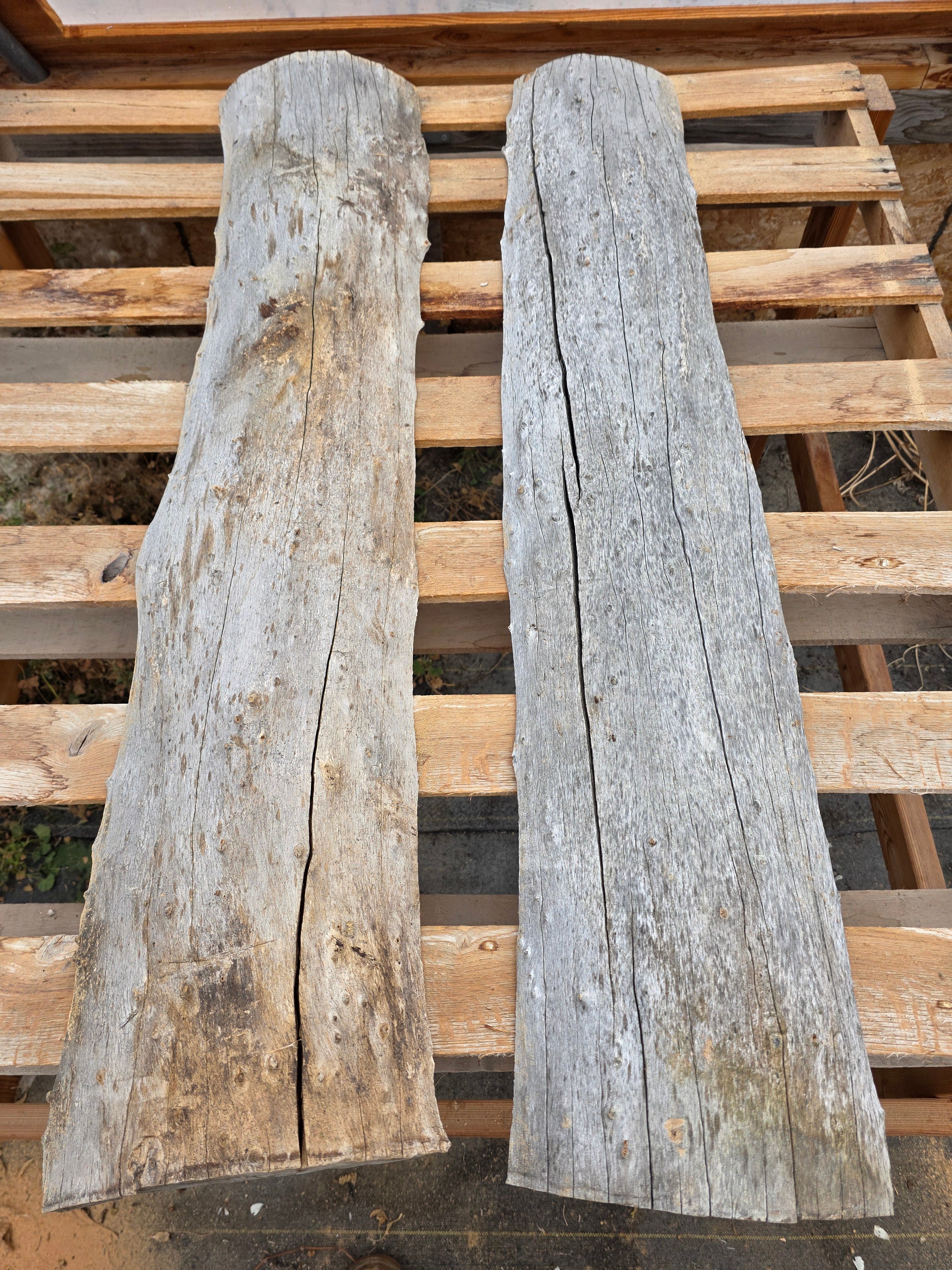 Ash Rough Milled Skins