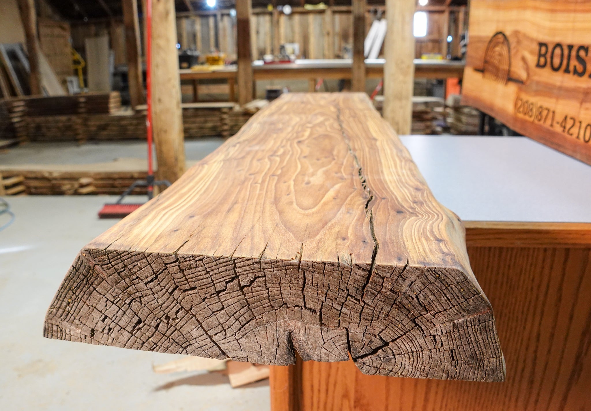 Elm 3" finished/coated