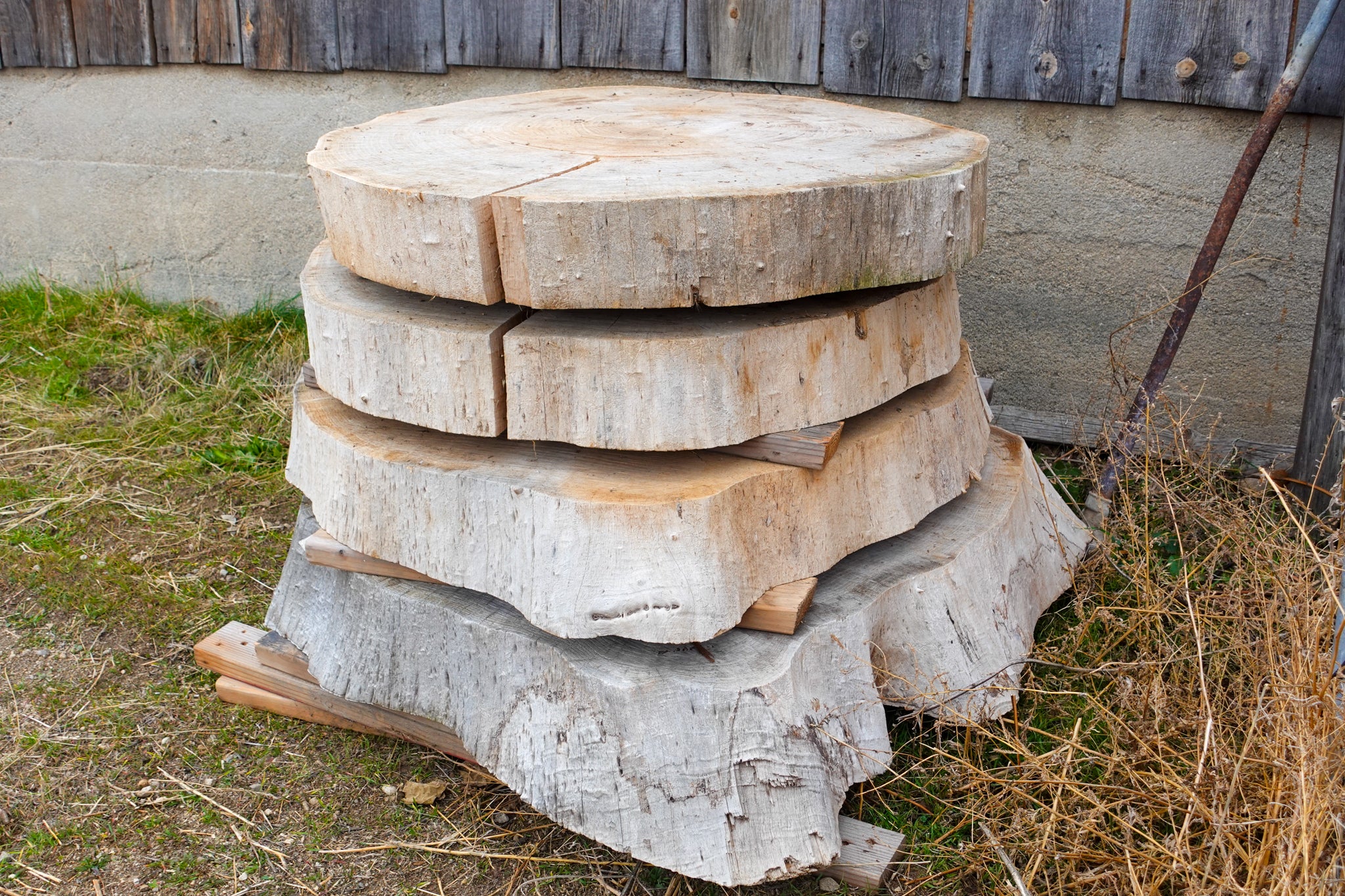 Elm Live edge Rounds 3"